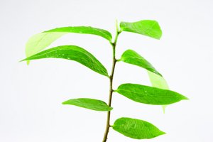 人工智能